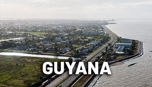 guy
